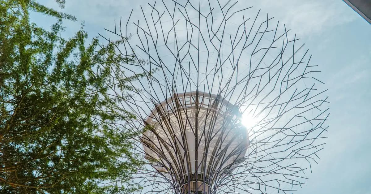 Quel avenir pour les panneaux solaires ? Innovations à explorer