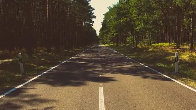 L'impact des panneaux solaires sur notre avenir énergétique