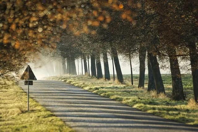 L'impact des panneaux solaires sur l'avenir de l'énergie