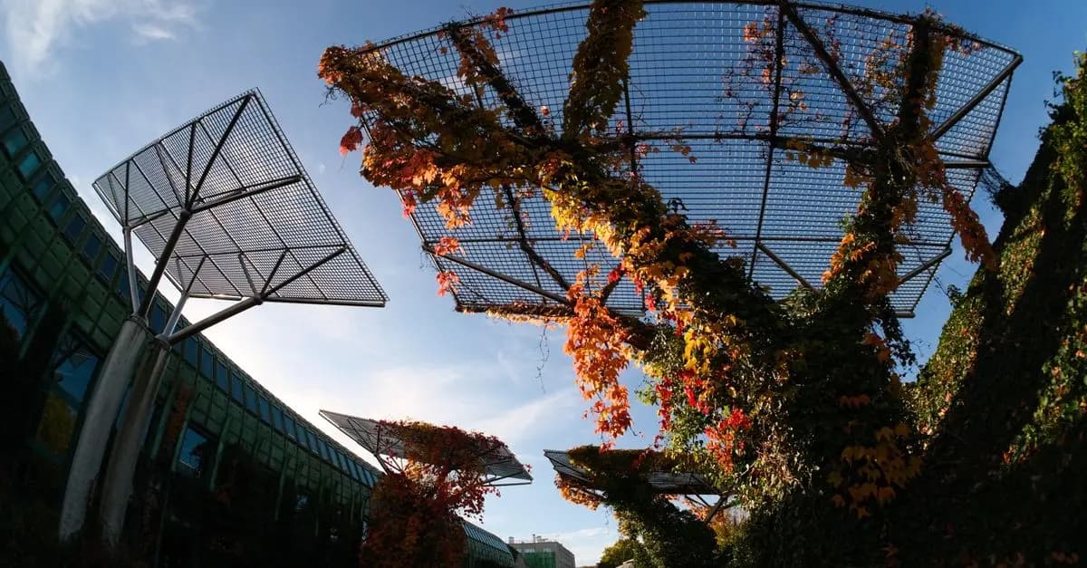 Les panneaux solaires de demain : technologies à surveiller